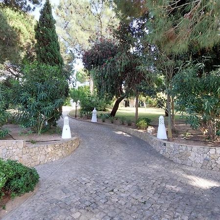 Вилла Casa Jolie Вале-до-Лобо Экстерьер фото
